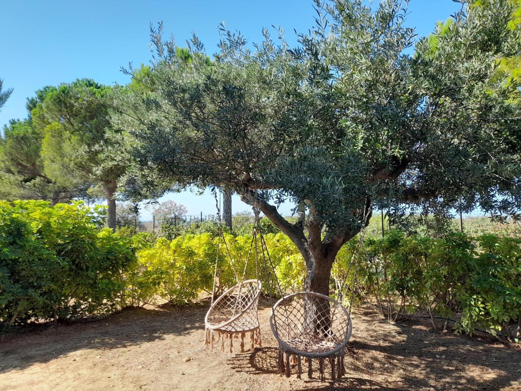 Locanda Degli Scrittori Agrigento Buitenkant foto